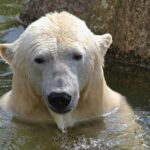 Road Trip through Alabama: A Journey to the State’s Hidden Gems